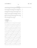 GENETICALLY MODIFIED PLANTS WHICH SYNTHESIZE A LOW AMYLOSE STARCH WITH     INCREASED SWELLING POWER diagram and image