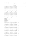 GENETICALLY MODIFIED PLANTS WHICH SYNTHESIZE A LOW AMYLOSE STARCH WITH     INCREASED SWELLING POWER diagram and image