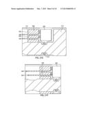 Endoluminal Surgical Instrument for Stapling, Cutting and Dividing diagram and image