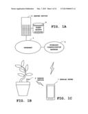 INFORMATION TERMINAL DEVICE, GROWTH MANAGEMENT SYSTEM AND     COMPUTER-READABLE MEDIUM diagram and image