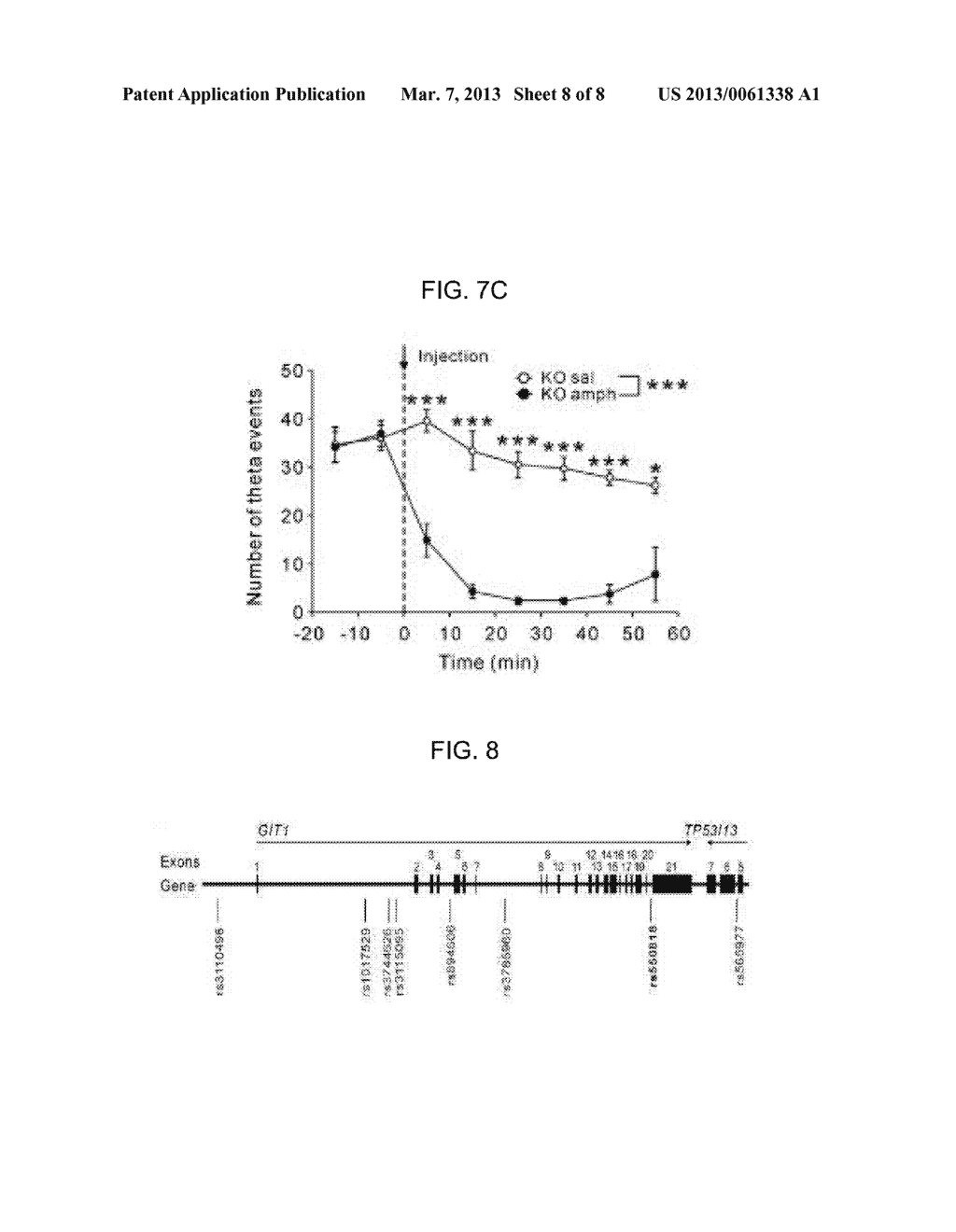 SCREENING OF DRUG FOR ATTENTION DEFICIT HYPERACTIVE DISORDER BY USING GIT1     KNOCK-OUT MICE AS A NOVEL ADHD MOUSE MODEL - diagram, schematic, and image 09