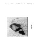 METHOD OF DIAGNOSING TRICHOTILLOMANIA AND SIMILAR DISORDERS IN HUMANS AND     RODENTS diagram and image