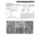 Incinerator Fly Ash Geopolymer and Method diagram and image