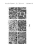 Incinerator Fly Ash Geopolymer and Method diagram and image