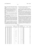 MULTI-LAYERED PATCH SYSTEM AND METHOD diagram and image