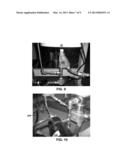 DIGESTER AND DIGESTION PROCESS diagram and image