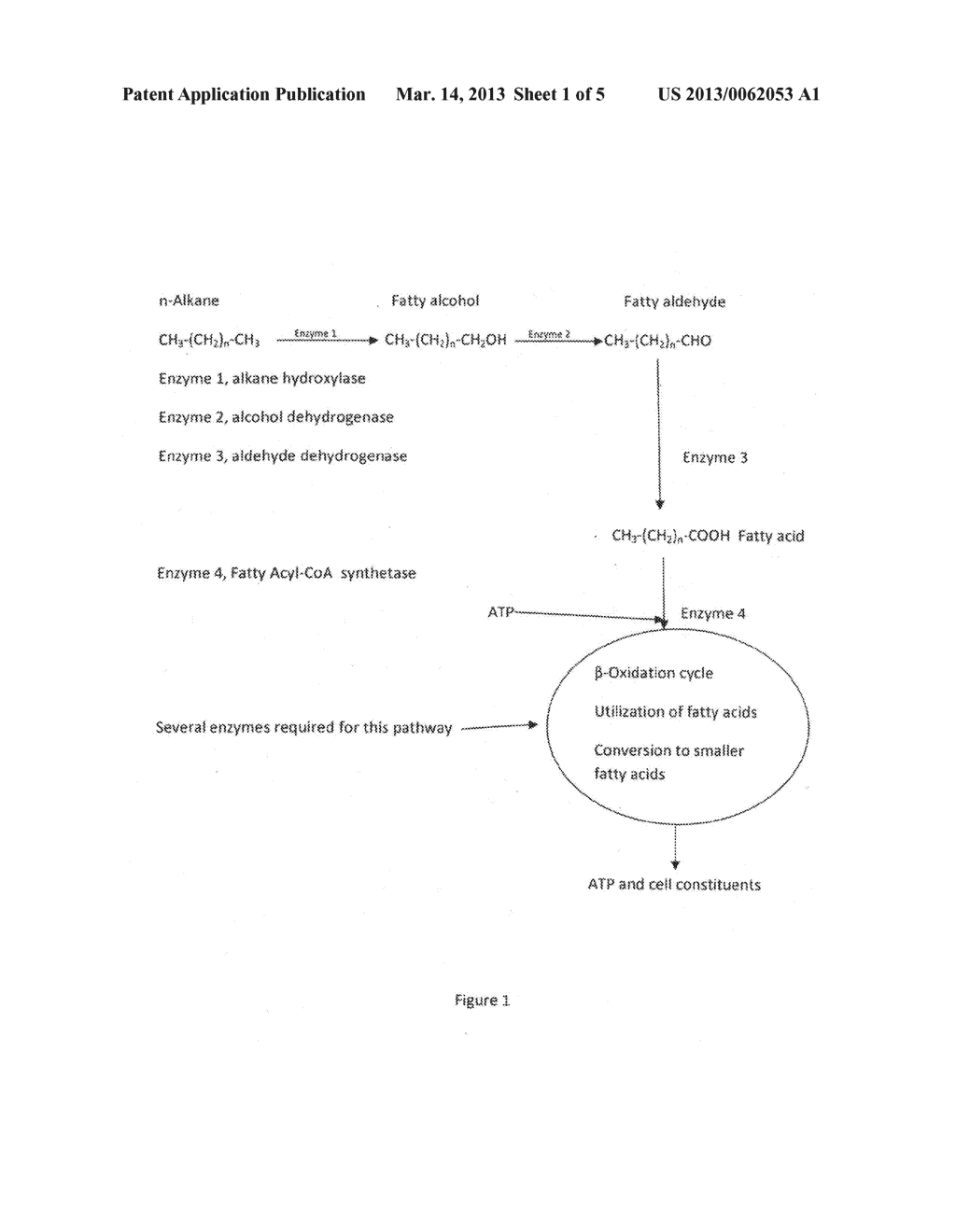 Alkaline microbial enhanced oil recovery - diagram, schematic, and image 02