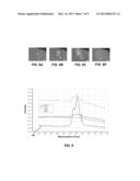 TECHNIQUES FOR REMOVING A CONTAMINANT LAYER FROM A THERMAL BARRIER COATING     AND ESTIMATING REMAINING LIFE OF THE COATING diagram and image