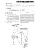 CODING IN A WIDE AREA POSITIONING SYSTEM (WAPS) diagram and image