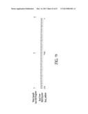 CODING IN A WIDE AREA POSITIONING SYSTEM (WAPS) diagram and image