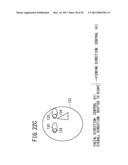 VEHICLE-MOUNTED DEVICE IDENTIFYING APPARATUS diagram and image