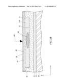 SAMPLE CARRYING APAPRATUS CAPABLE OF REVOLVING SAMPLE diagram and image