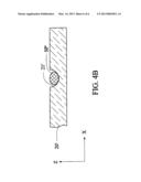 SAMPLE CARRYING APAPRATUS CAPABLE OF REVOLVING SAMPLE diagram and image