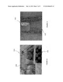 IMAGE ANALYSIS FOR MAKING ANIMAL MEASUREMENTS diagram and image