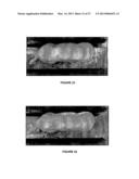 IMAGE ANALYSIS FOR MAKING ANIMAL MEASUREMENTS diagram and image