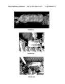 IMAGE ANALYSIS FOR MAKING ANIMAL MEASUREMENTS diagram and image