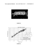 IMAGE ANALYSIS FOR MAKING ANIMAL MEASUREMENTS diagram and image