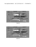 IMAGE ANALYSIS FOR MAKING ANIMAL MEASUREMENTS diagram and image