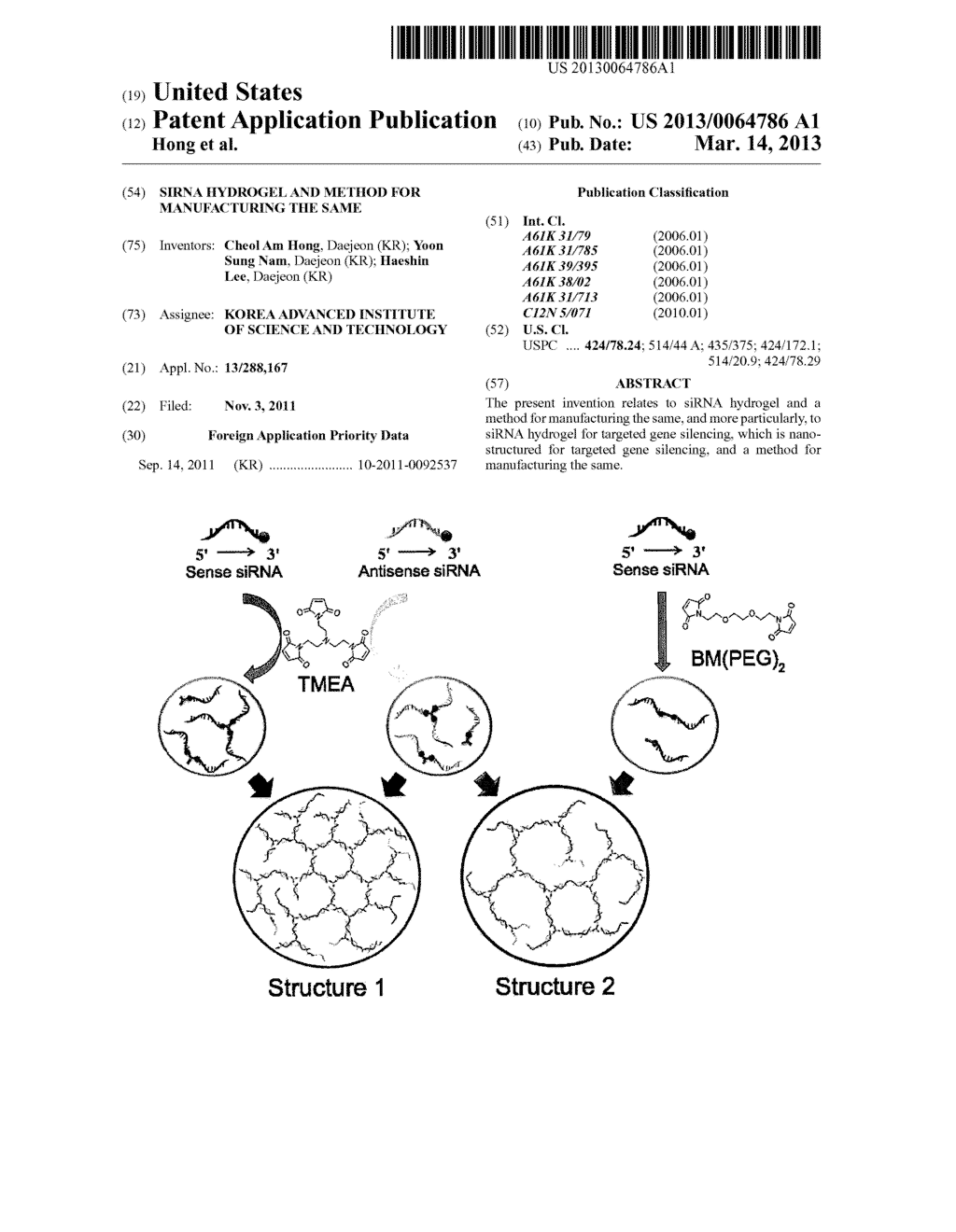 siRNA HYDROGEL AND METHOD FOR MANUFACTURING THE SAME - diagram, schematic, and image 01