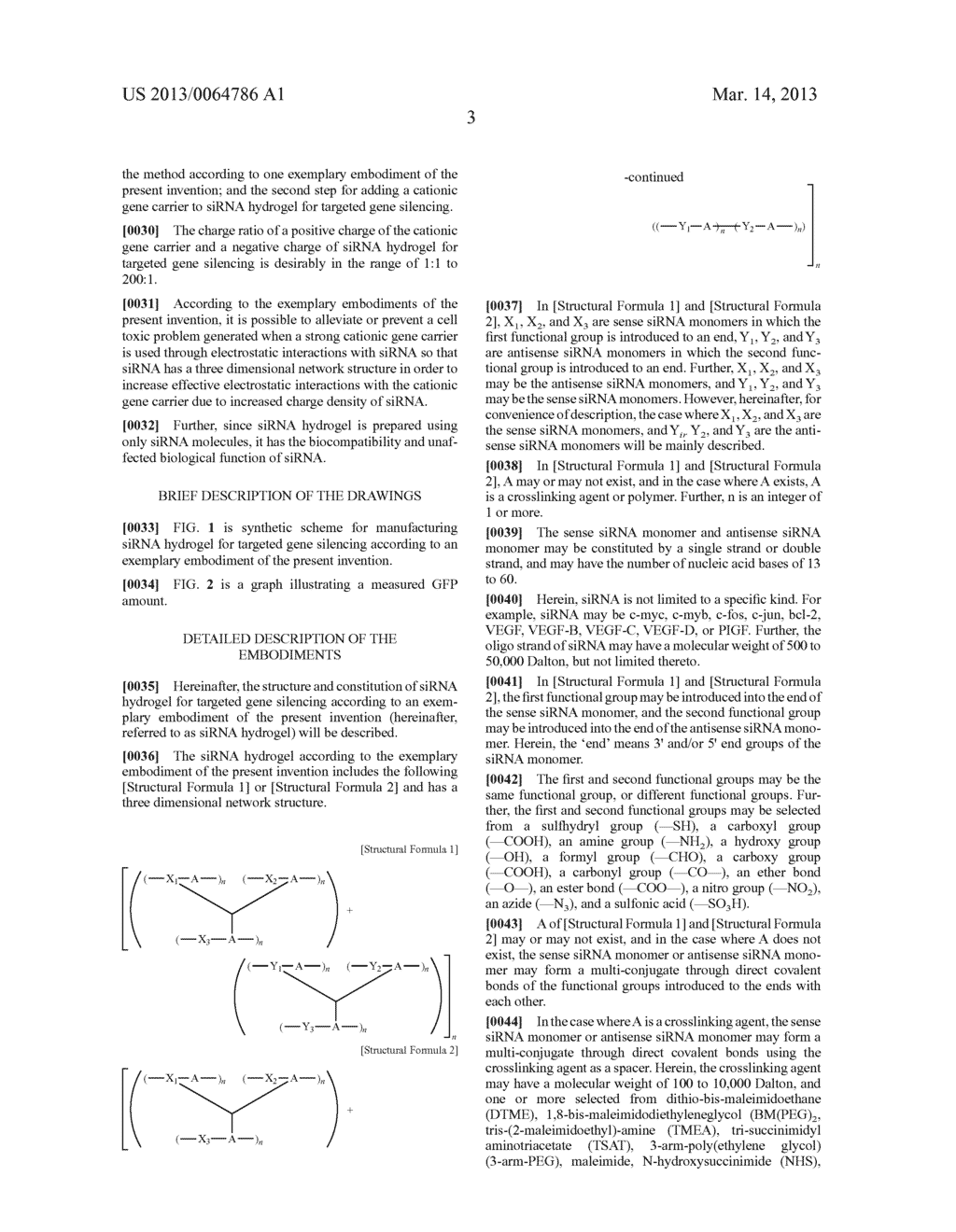 siRNA HYDROGEL AND METHOD FOR MANUFACTURING THE SAME - diagram, schematic, and image 06