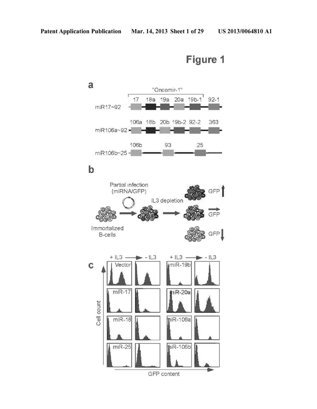 Methods and Compositions for the Detection and Treatment of Cancer     involving miRNAs and miRNA Inhibitors and Targets - diagram, schematic, and image 02