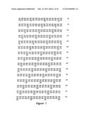 Protein Belonging to the TNF Superfamily Involved in Signal Transduction,     Nucleic Acids Encoding Same and Methods of Use Thereof diagram and image