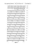 Protein Belonging to the TNF Superfamily Involved in Signal Transduction,     Nucleic Acids Encoding Same and Methods of Use Thereof diagram and image