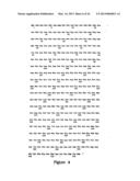 Protein Belonging to the TNF Superfamily Involved in Signal Transduction,     Nucleic Acids Encoding Same and Methods of Use Thereof diagram and image