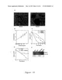 Protein Belonging to the TNF Superfamily Involved in Signal Transduction,     Nucleic Acids Encoding Same and Methods of Use Thereof diagram and image