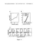 Protein Belonging to the TNF Superfamily Involved in Signal Transduction,     Nucleic Acids Encoding Same and Methods of Use Thereof diagram and image