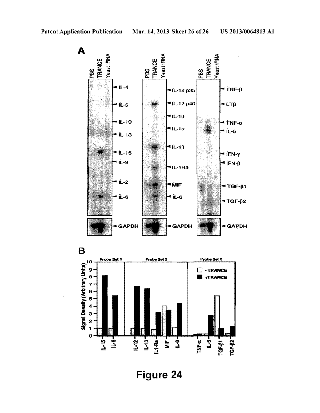 Protein Belonging to the TNF Superfamily Involved in Signal Transduction,     Nucleic Acids Encoding Same and Methods of Use Thereof - diagram, schematic, and image 27