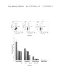 INDUCING APOPTOSIS IN QUIESCENT CELLS diagram and image