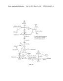 INDUCING APOPTOSIS IN QUIESCENT CELLS diagram and image