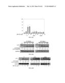 INDUCING APOPTOSIS IN QUIESCENT CELLS diagram and image