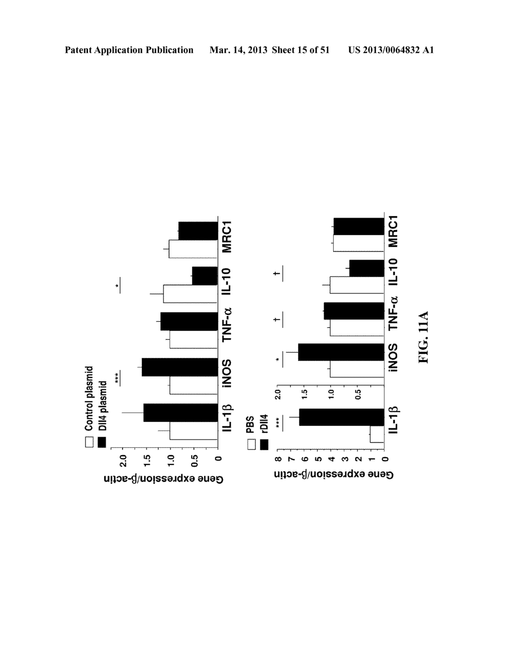 NOTCH INHIBITION IN THE TREATMENT AND PREVENTION OF A METABOLIC DISEASE OR     DISORDER AND CARDIOVASCULAR COMPLICATIONS THEREOF - diagram, schematic, and image 16