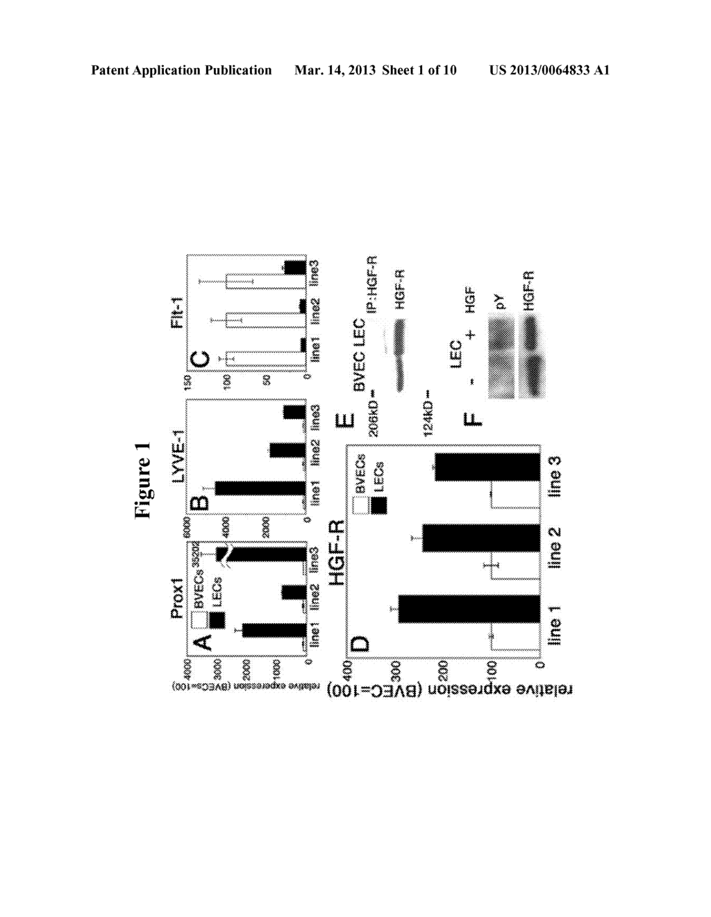 Monitoring and Modulating HGF/HGFR Activity - diagram, schematic, and image 02