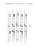 Compositions and Methods for Antibodies Targeting Complement Protein C5 diagram and image