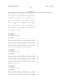 Compositions and Methods for Antibodies Targeting Complement Protein C5 diagram and image