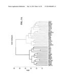 GENE EXPRESSION PROFILING FOR CLASSIFYING AND TREATING GASTRIC CANCER diagram and image