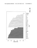 GENE EXPRESSION PROFILING FOR CLASSIFYING AND TREATING GASTRIC CANCER diagram and image