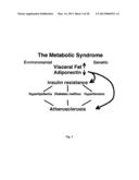 ANTI-INFLAMMATORY BOTANICAL PRODUCTS FOR THE TREATMENT OF METABOLIC     SYNDROME AND DIABETES diagram and image
