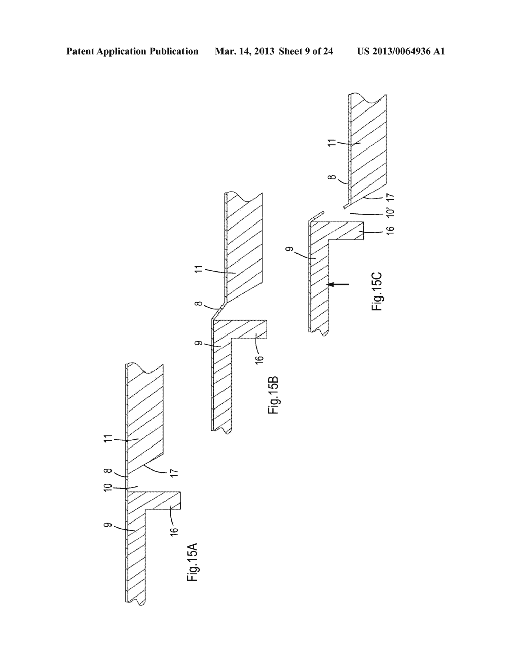 CAPSULE, AND METHOD OF PRODUCING IT - diagram, schematic, and image 10