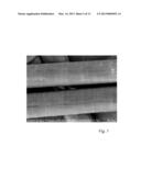 HIGH MODULUS POLYOLEFIN FIBERS EXHIBITING UNIQUE MICROSTRUCTURAL FEATURES diagram and image