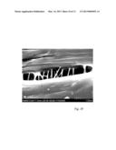 HIGH MODULUS POLYOLEFIN FIBERS EXHIBITING UNIQUE MICROSTRUCTURAL FEATURES diagram and image