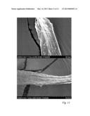 HIGH MODULUS POLYOLEFIN FIBERS EXHIBITING UNIQUE MICROSTRUCTURAL FEATURES diagram and image