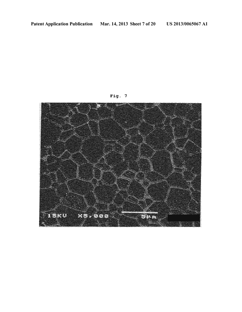 METHOD FOR PRODUCING CERAMIC FOR HEAT-RADIATING MEMBERS, CERAMIC FOR     HEAT-RADIATING MEMBERS, AND SOLAR CELL MODULE AND LED LIGHT-EMITTING     MODULE USING SAID CERAMIC - diagram, schematic, and image 08