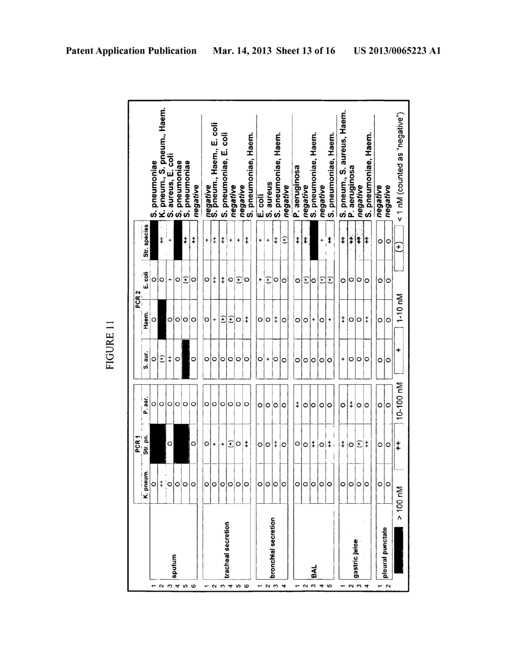 Universally Applicable Lysis Buffer and Processing Methods for the Lysis     of Bodily Samples - diagram, schematic, and image 14