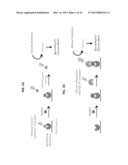 PERSONAL GLUCOSE METERS FOR DETECTION AND QUANTIFICATION OF A BROAD RANGE     OF ANALYTES diagram and image