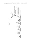 PERSONAL GLUCOSE METERS FOR DETECTION AND QUANTIFICATION OF A BROAD RANGE     OF ANALYTES diagram and image