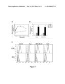 METHODS OF INCREASING MACROPINOCYTOSIS IN CANCER CELLS diagram and image